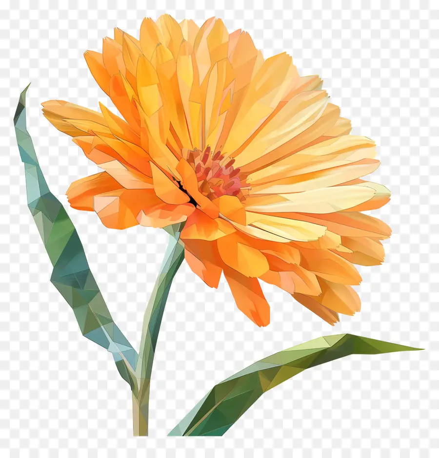 زهرة رقمية，زهرة الصبار البرتقالي PNG