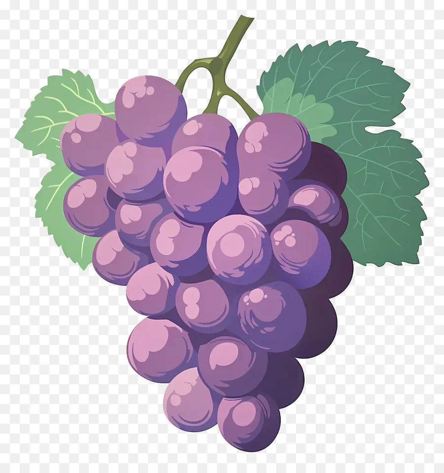 العنب，العنب الأرجواني PNG
