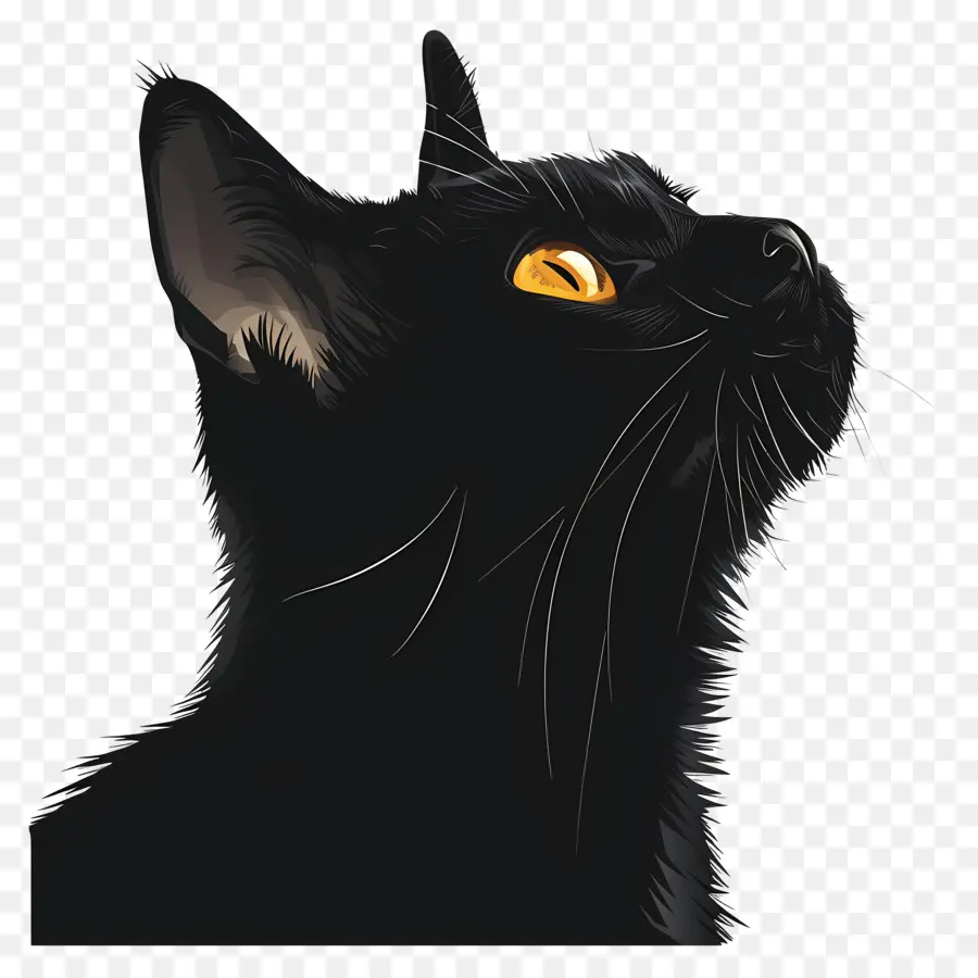 القط الأسود，عيون صفراء PNG