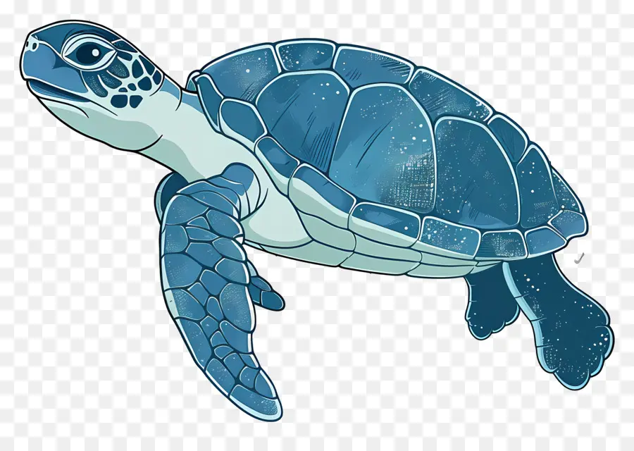سلحفاة الكرتون，السلاحف الزرقاء PNG