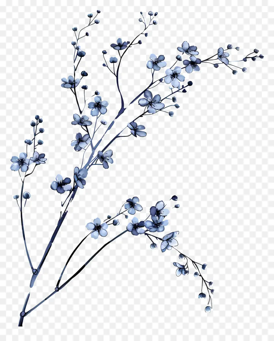 الزهور الزرقاء，ساكورا زهرة PNG