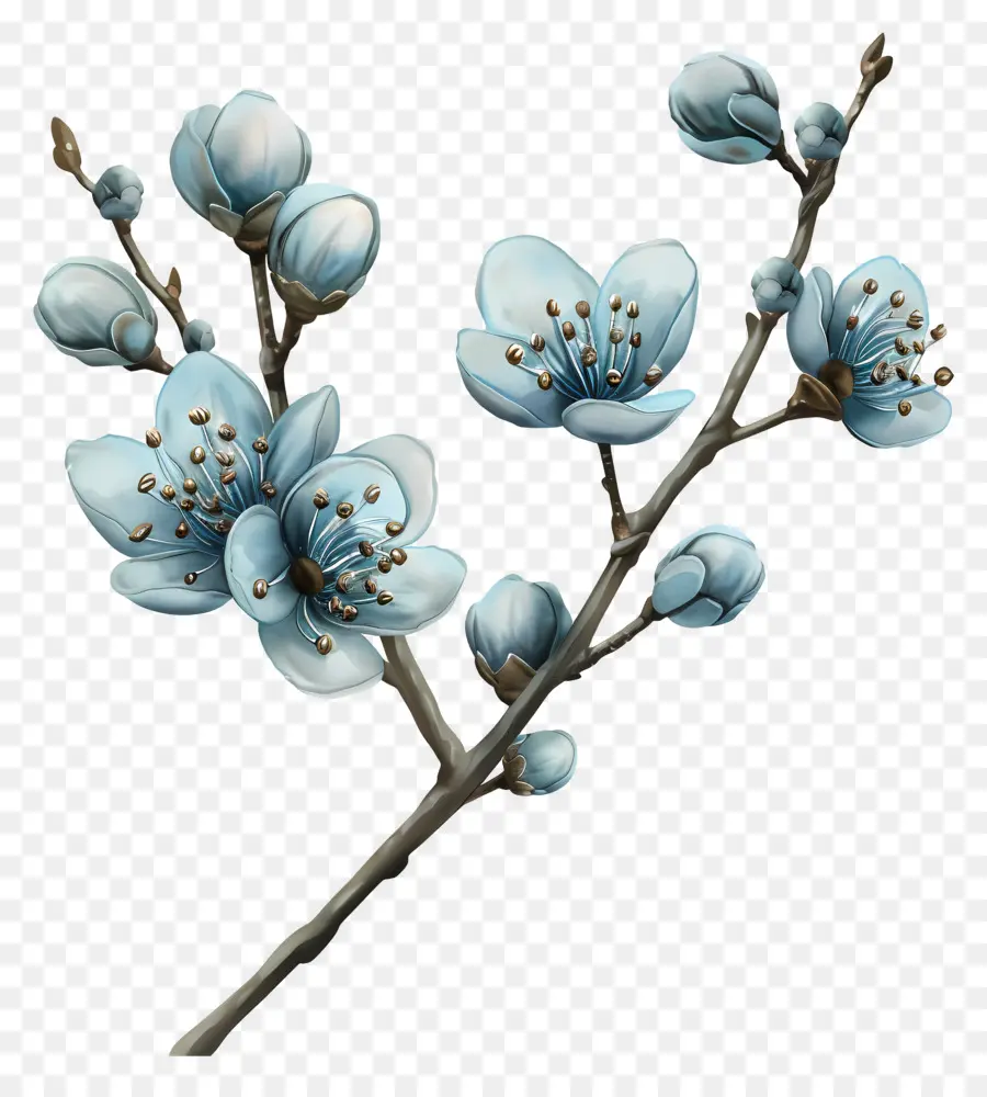 الزهور الزرقاء，فرع PNG