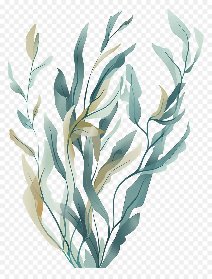 عشب البحر الأعشاب البحرية，لوحة الأعشاب البحرية PNG