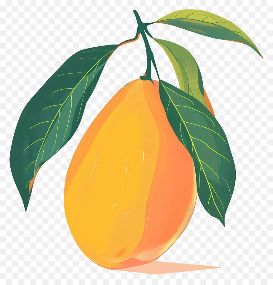 المانجو，الفاكهة PNG