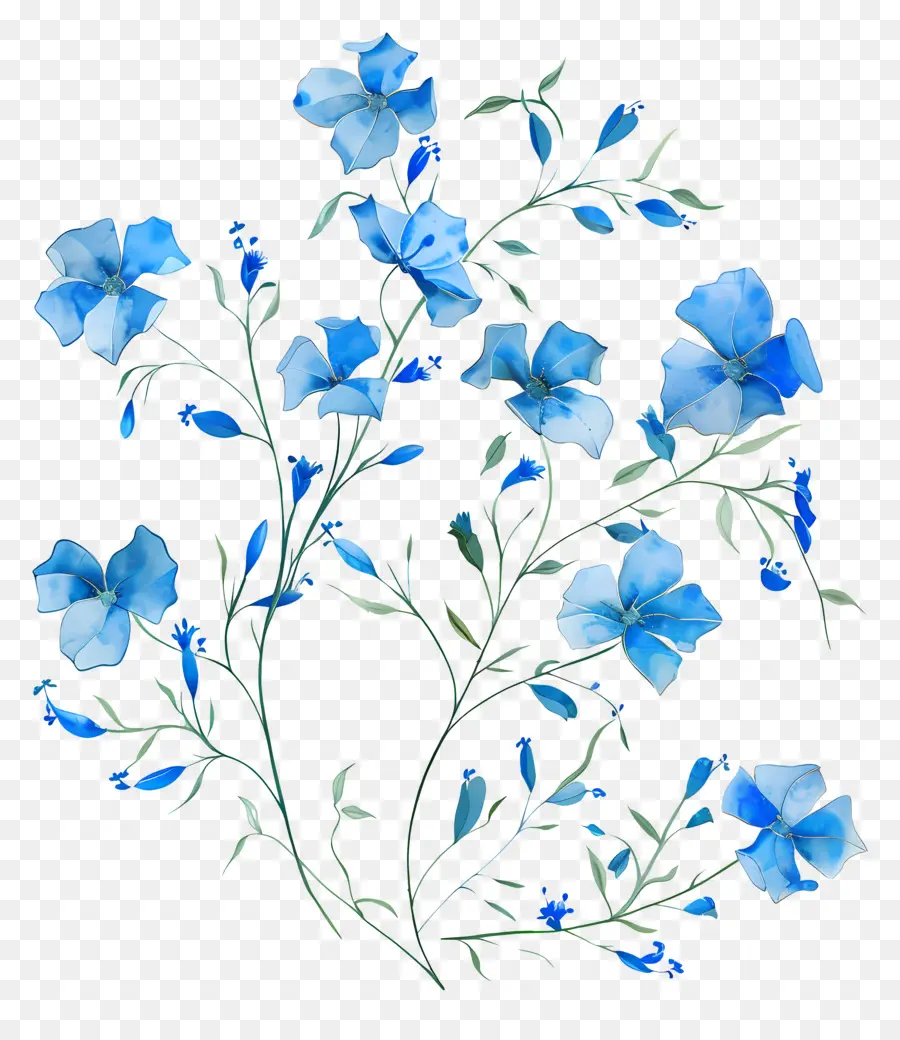 الزهور الزرقاء，باقة PNG