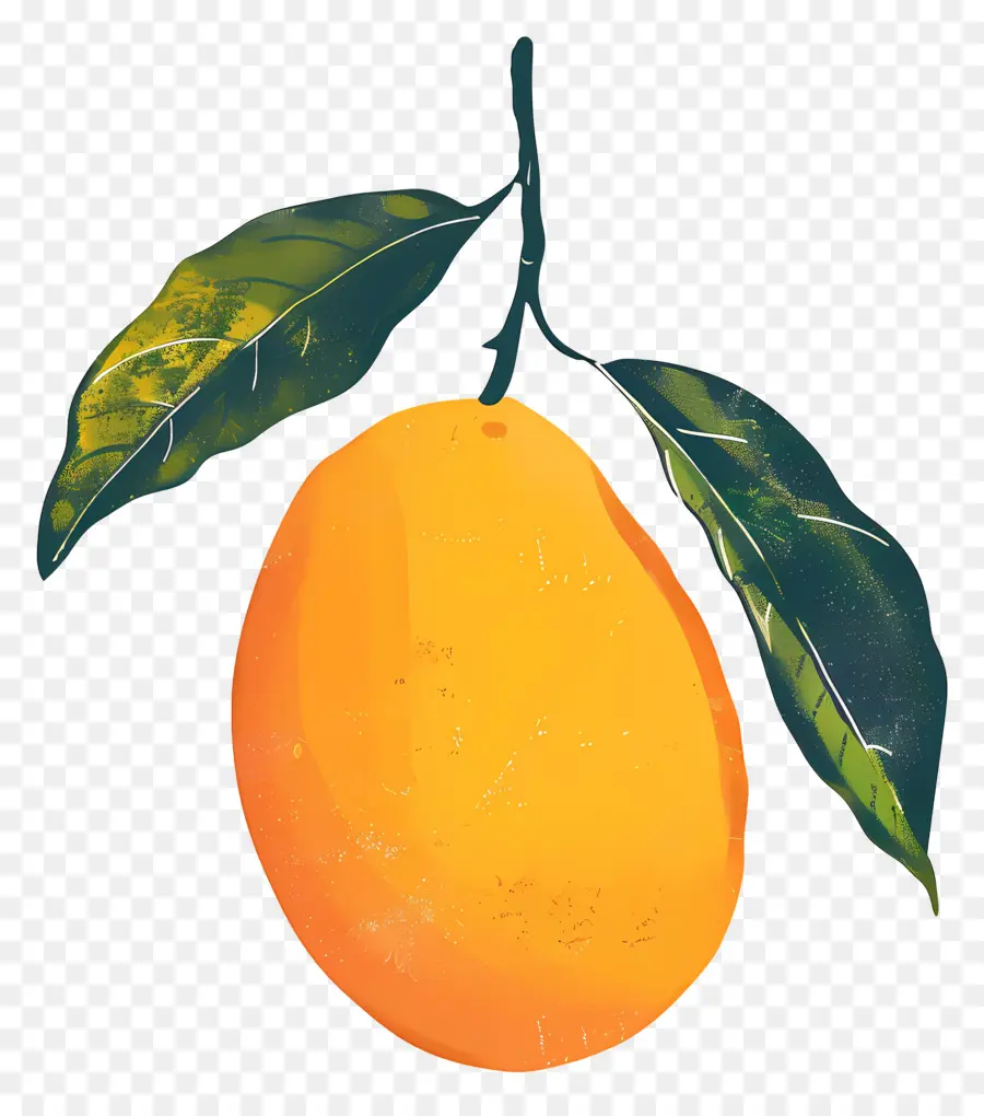 المانجو，البرتقال PNG
