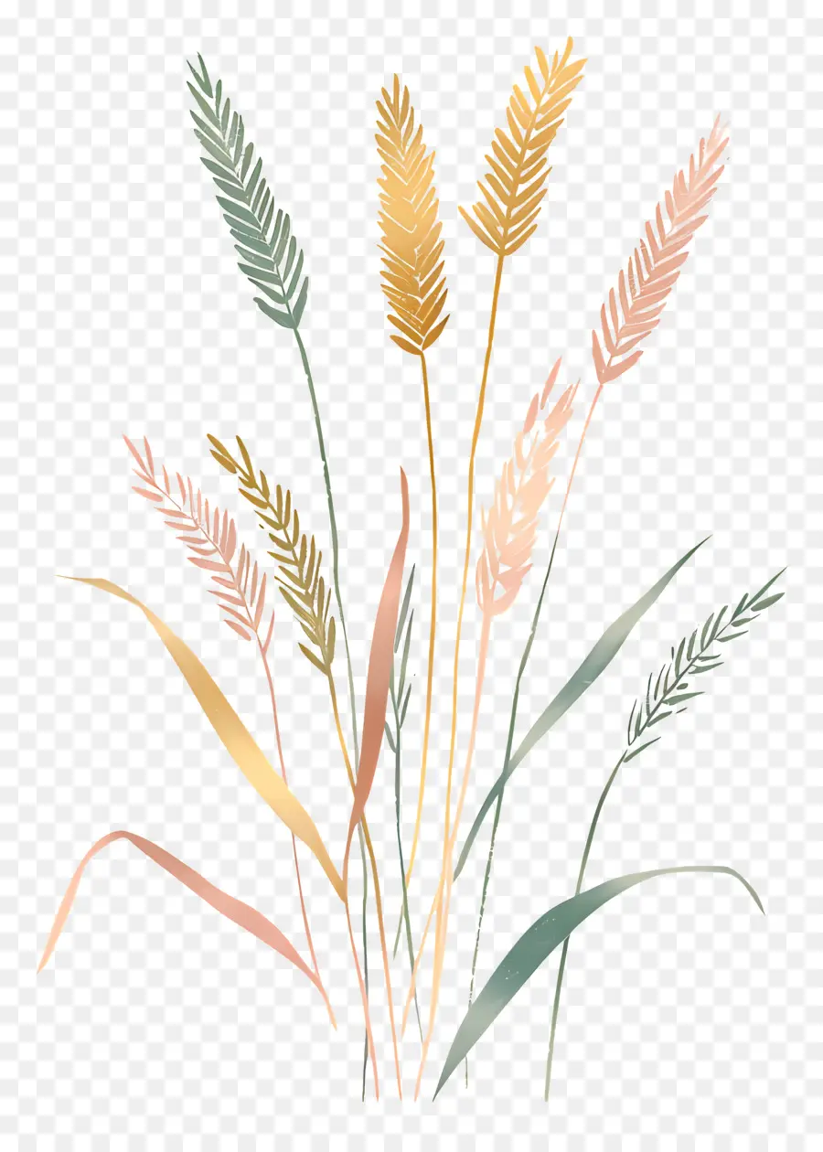 القمح，نباتات طويلة PNG