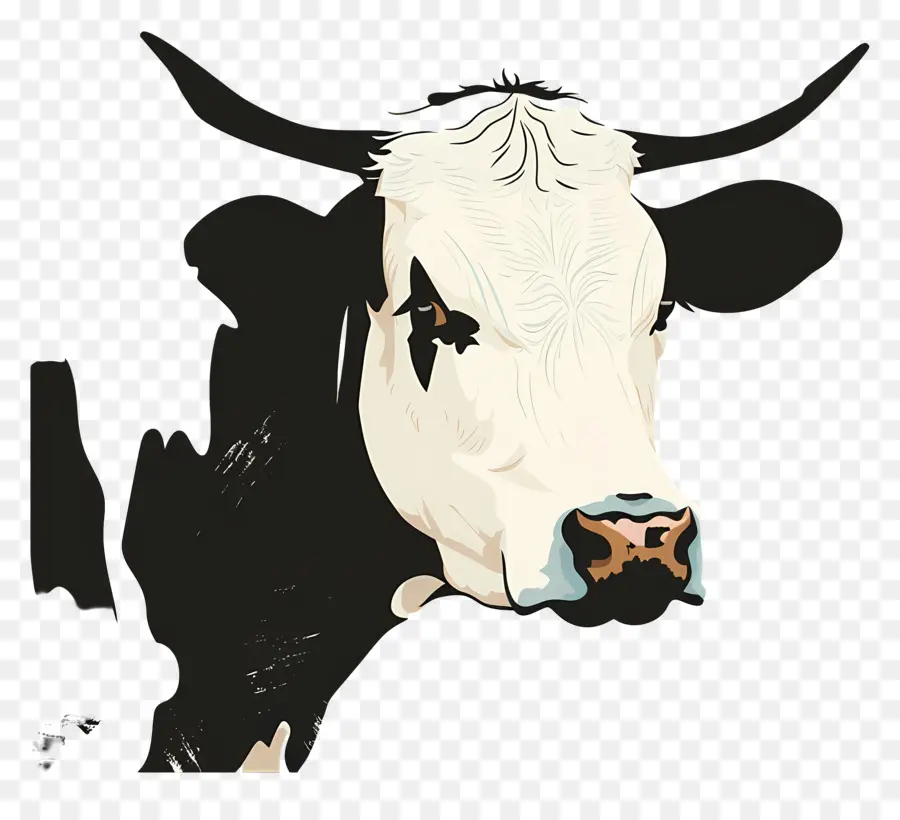 البقرة，الأسود و الأبيض PNG