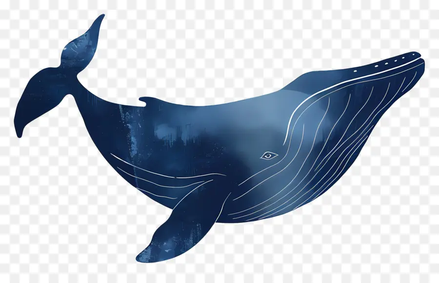 الحوت الأزرق，اللوحة PNG