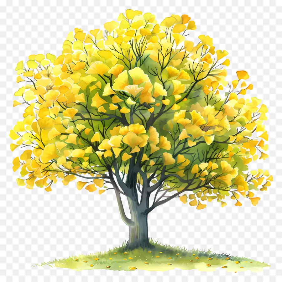 شجرة الجنكة，سقوط ورق النبتة PNG