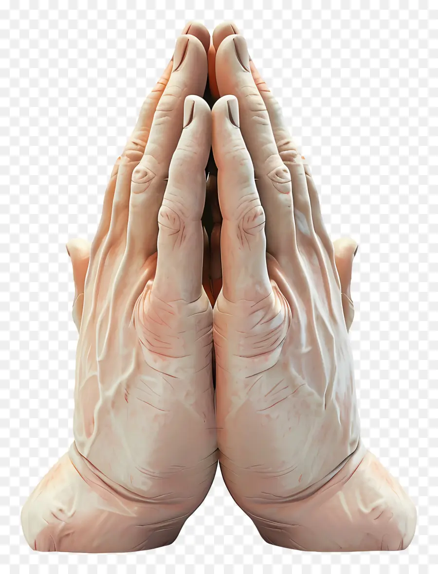 الصلاة اليدين，التأمل PNG