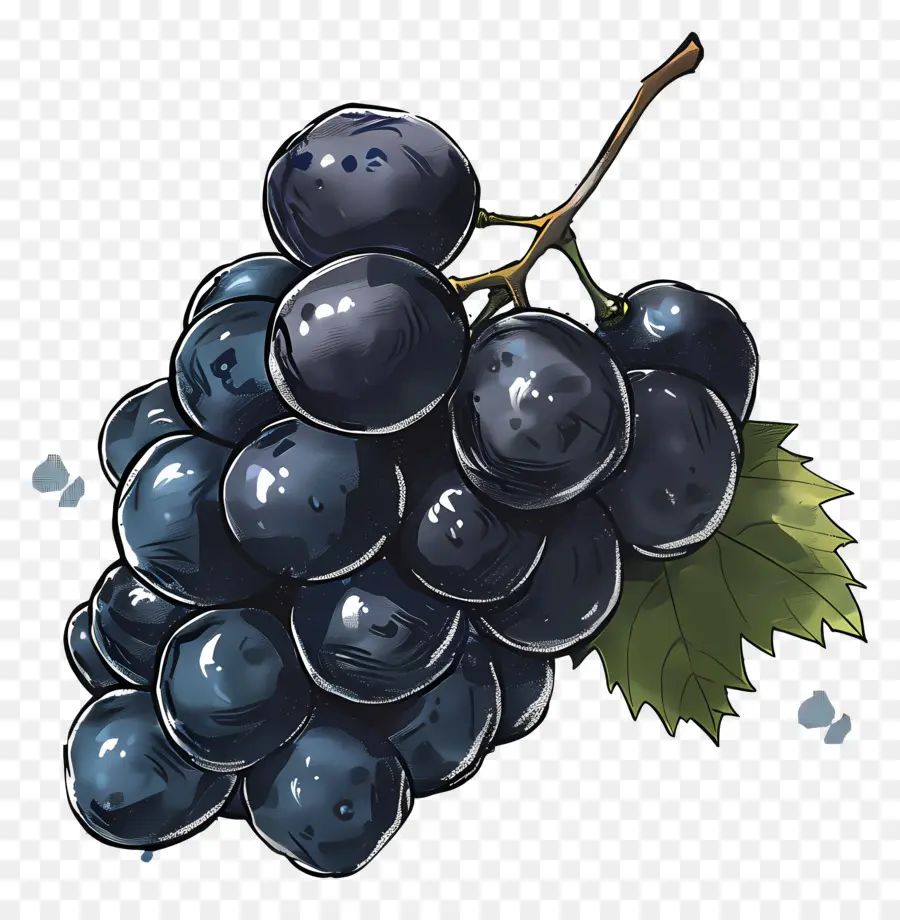 العنب，العنب الأسود PNG