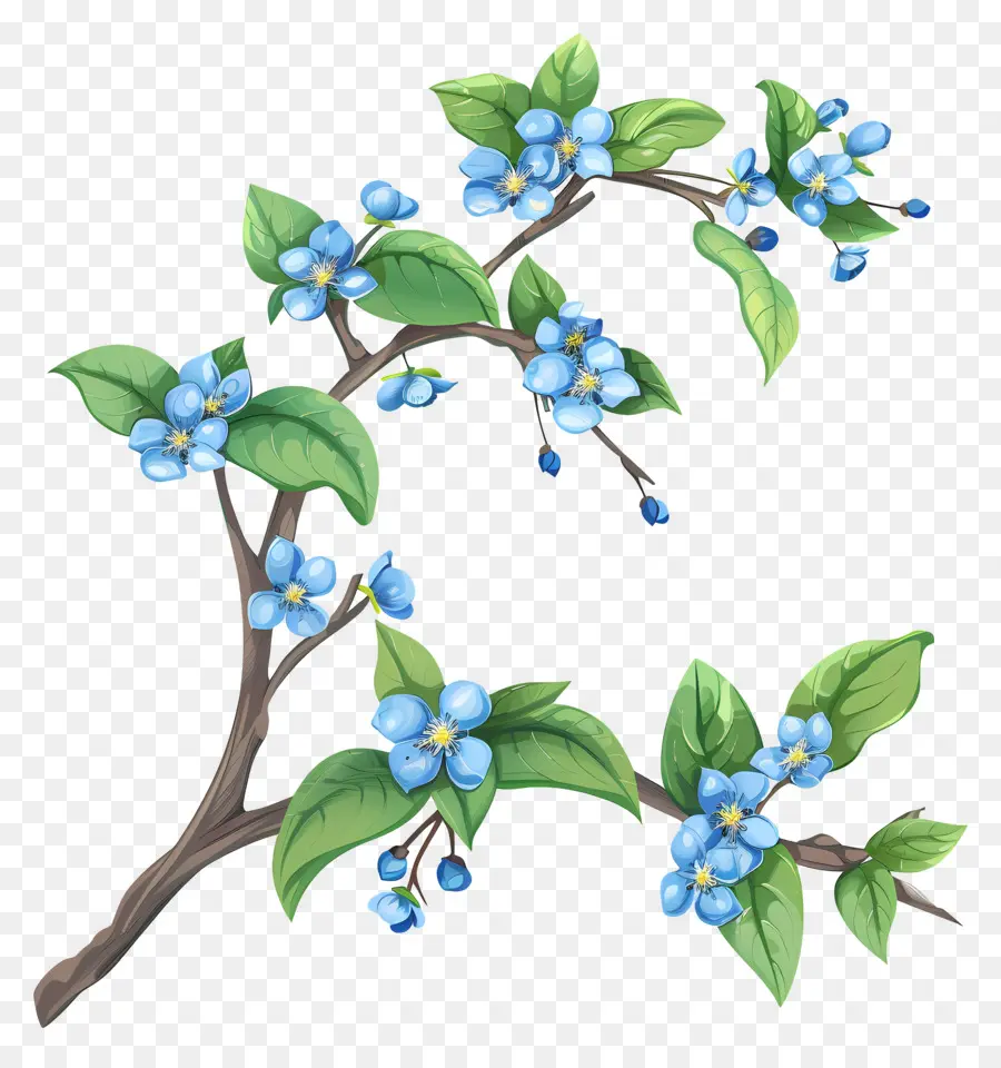 الزهور الزرقاء，فرع صغير PNG