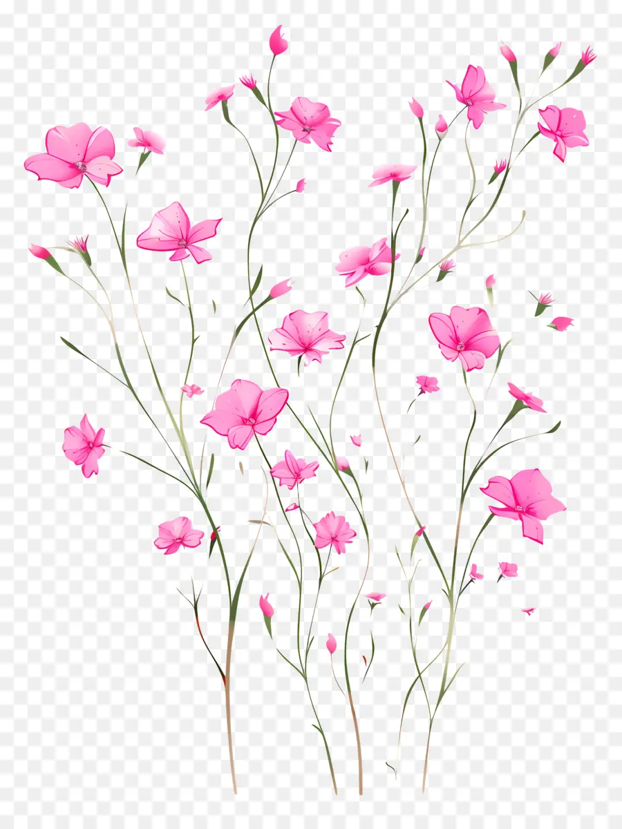 الزهور الوردية，تصوير الطبيعة PNG