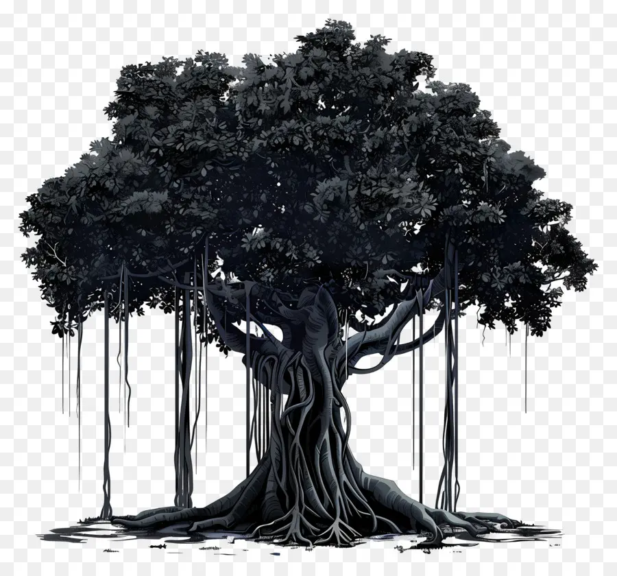 شجرة بانيان السوداء，الشجرة القديمة PNG