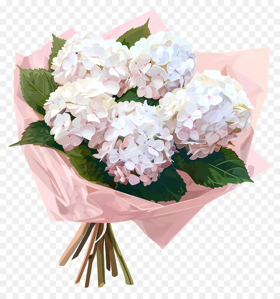كوبية بيضاء，الوردي الورود PNG