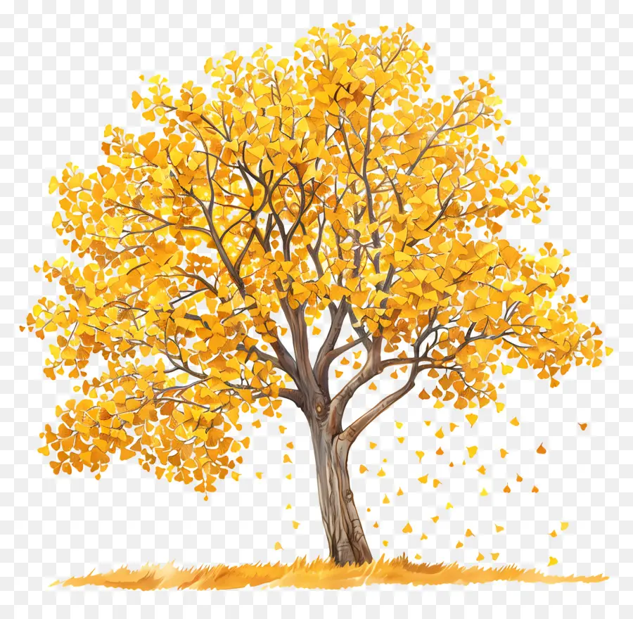 شجرة الجنكة الخريف，شجرة رسم PNG