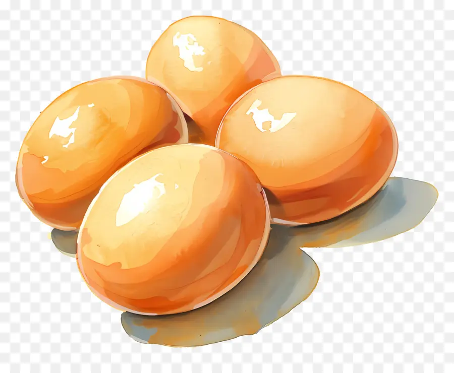 البيض，البيض الطازج PNG