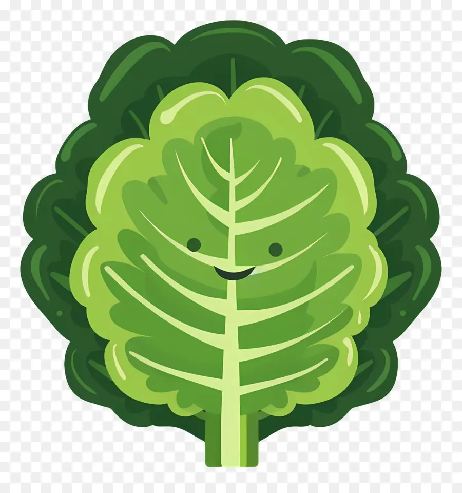 الخس，نبات الورق الأخضر PNG
