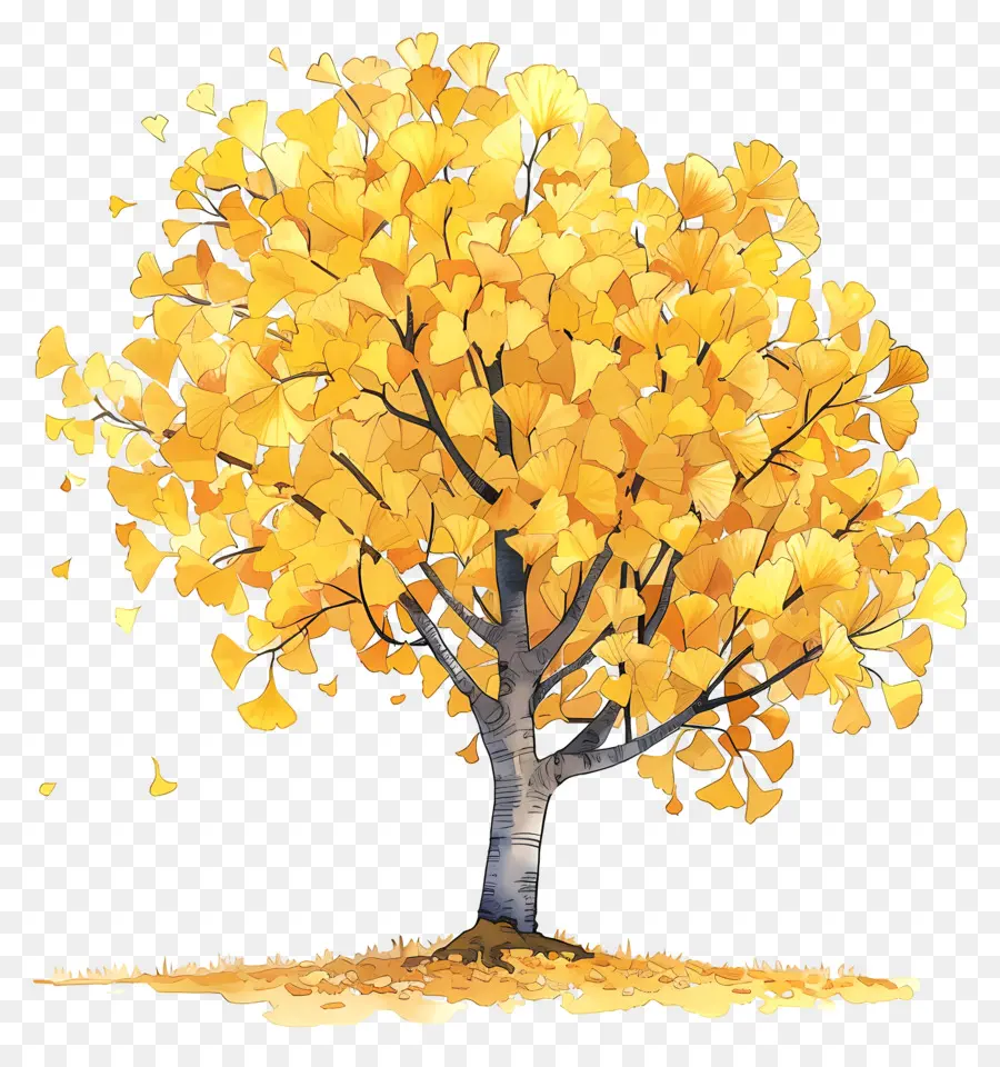 شجرة الجنكة الخريف，شجرة PNG