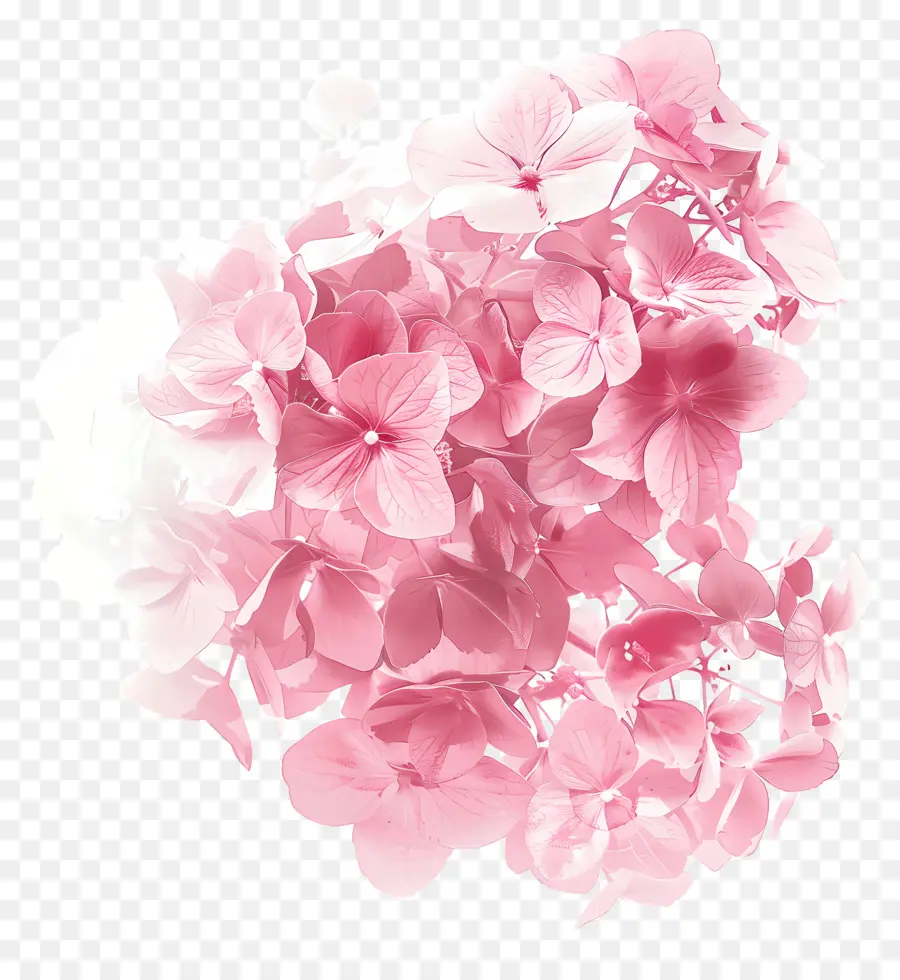 الوردي الكوبية，الوردي و الزهور البيضاء PNG