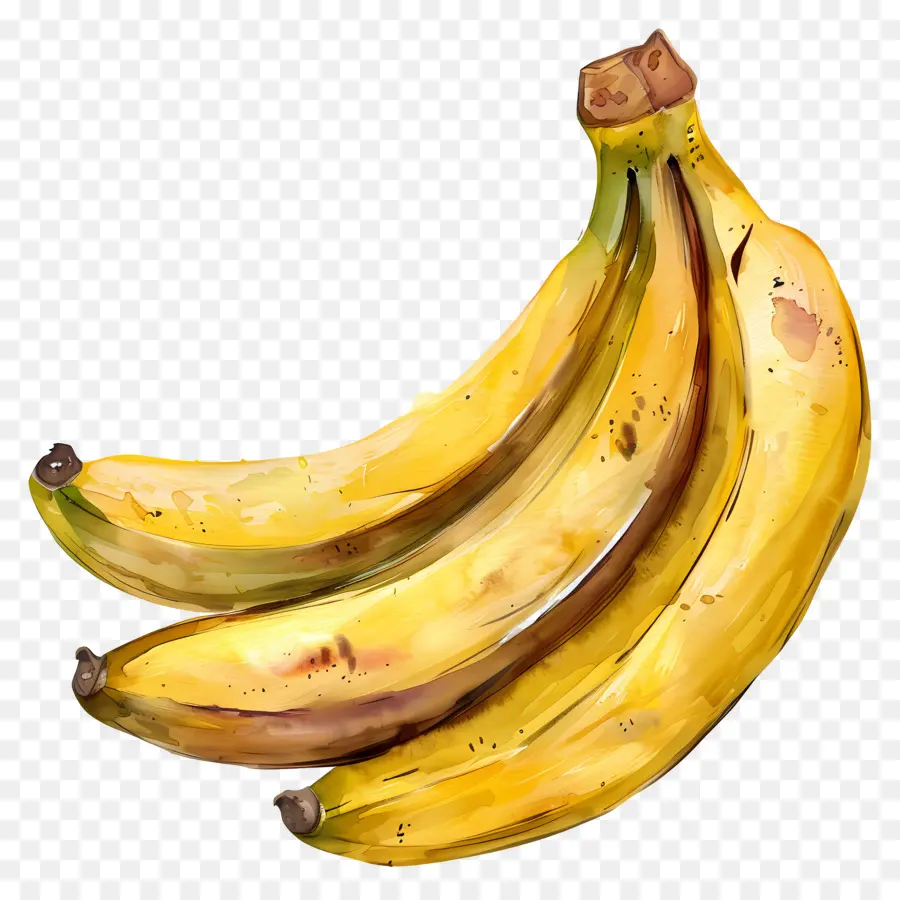الموز，الرسم بالألوان المائية PNG