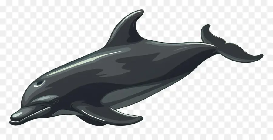 دولفين，الدلفين الأسود PNG