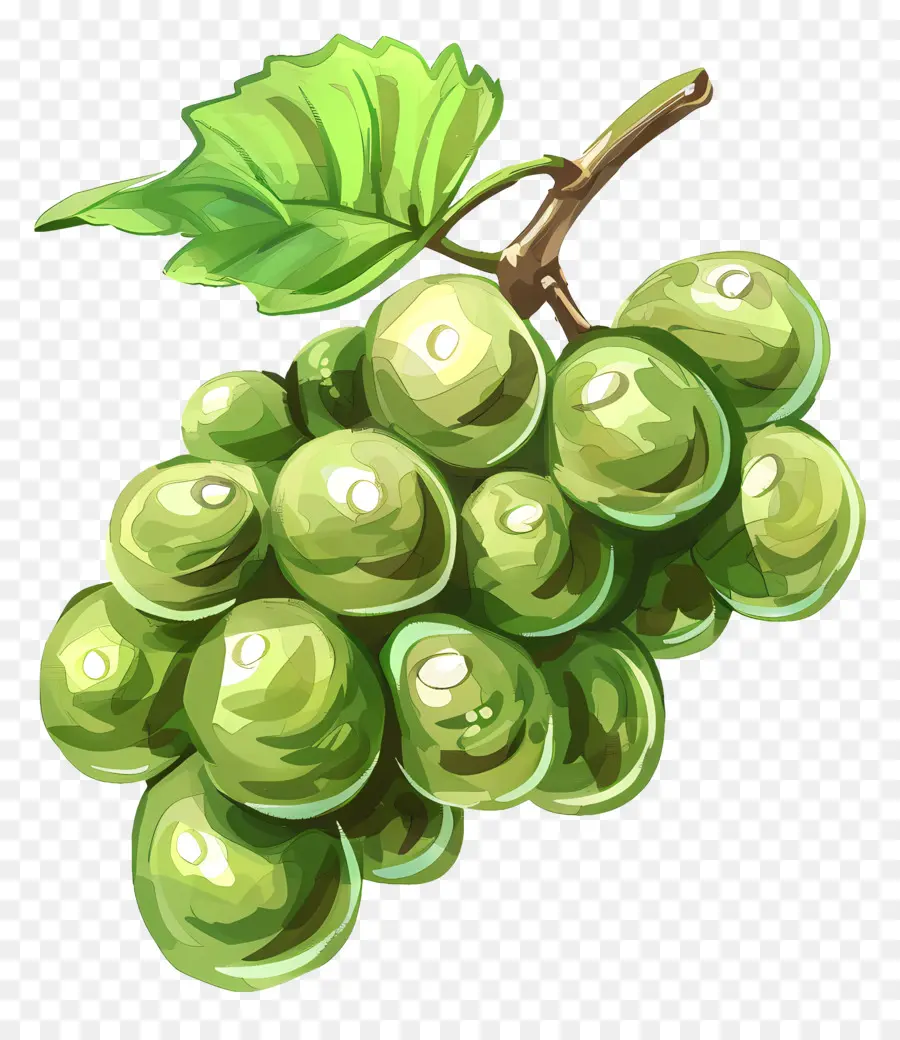 العنب，العنب الأخضر PNG