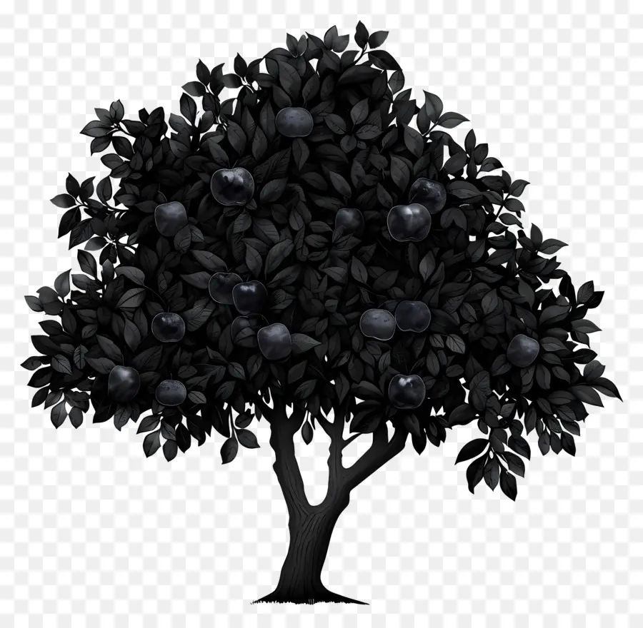 شجرة التفاح السوداء，العليق PNG