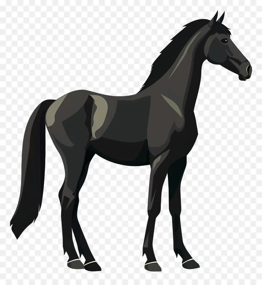 الحصان，الحصان الأسود PNG