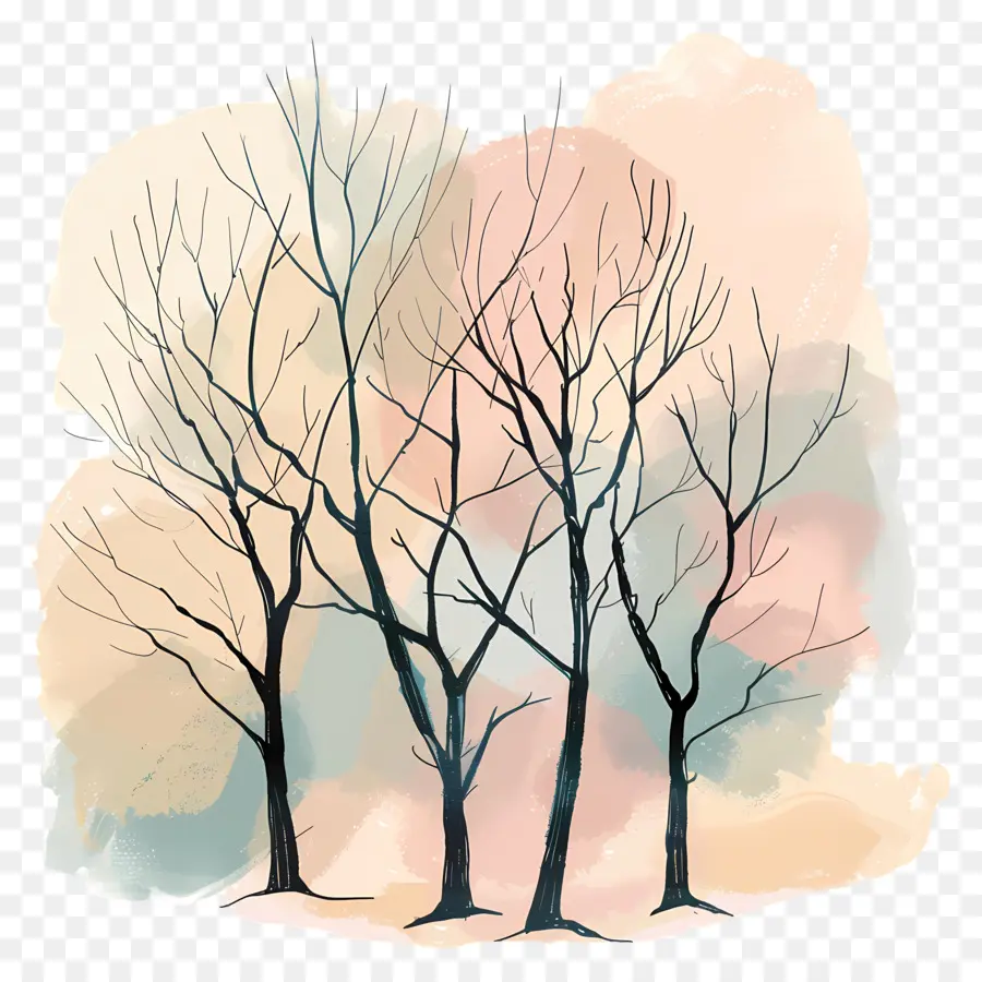 الأشجار العارية，الشتاء PNG