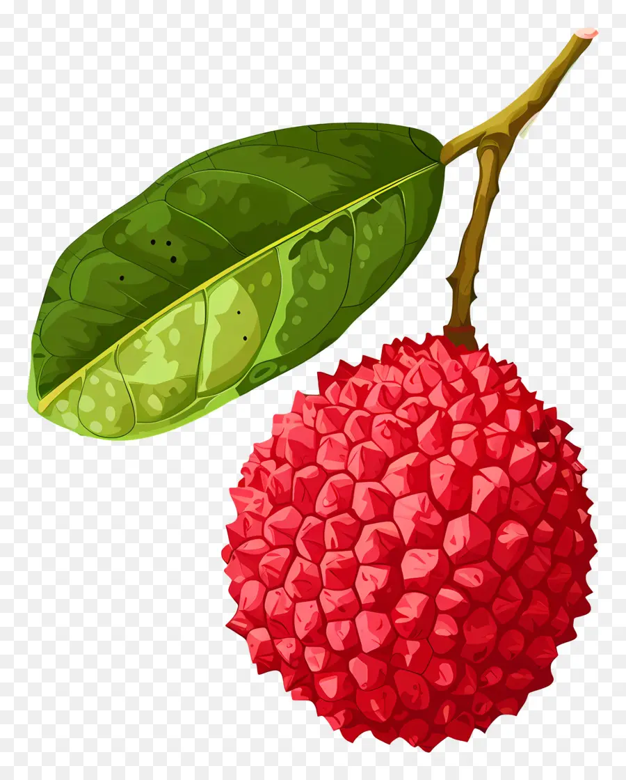 ليتشي，فاكهة التنين PNG