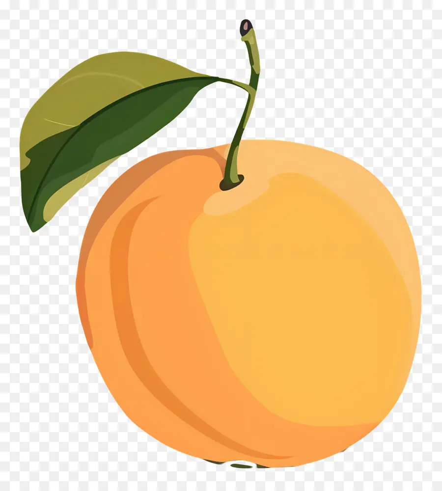 المشمش，البرتقال PNG