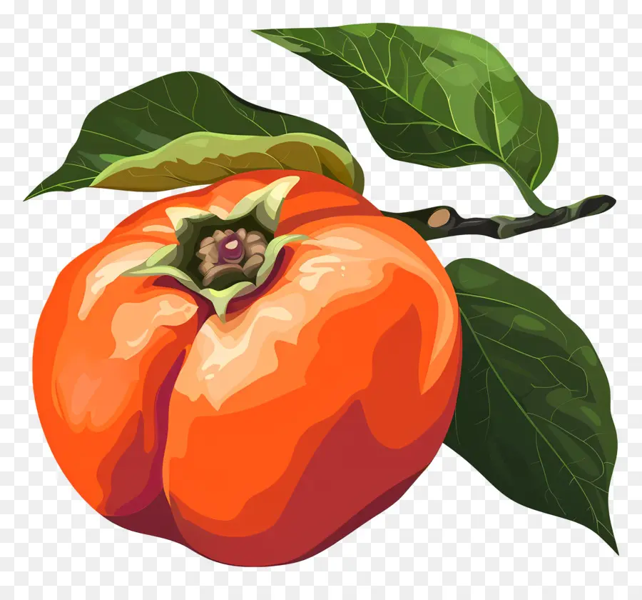 البرسيمون，فاكهة البرتقال PNG