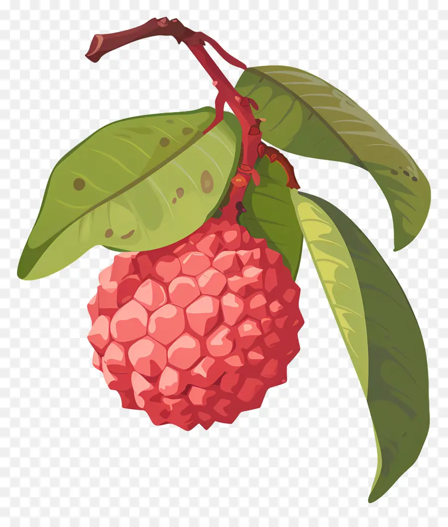 ليتشي，الفاكهة الوردية PNG