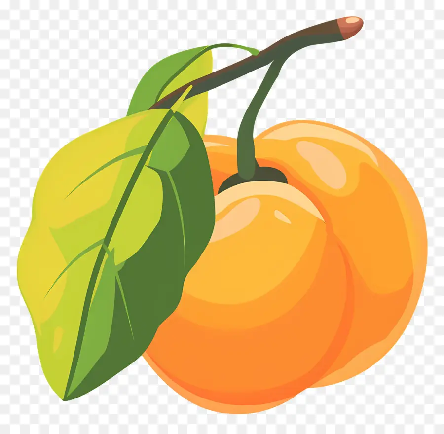 المشمش，ناضجة البرتقال PNG