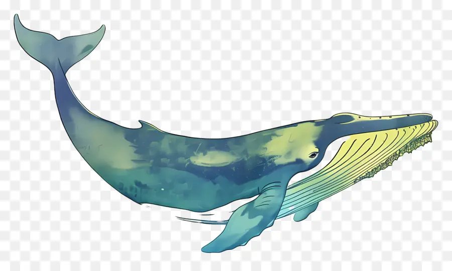 الحوت الأزرق，الحوت PNG