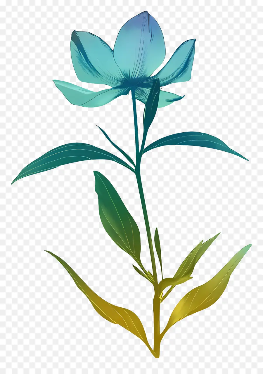 زهرة，الزهرة الزرقاء PNG