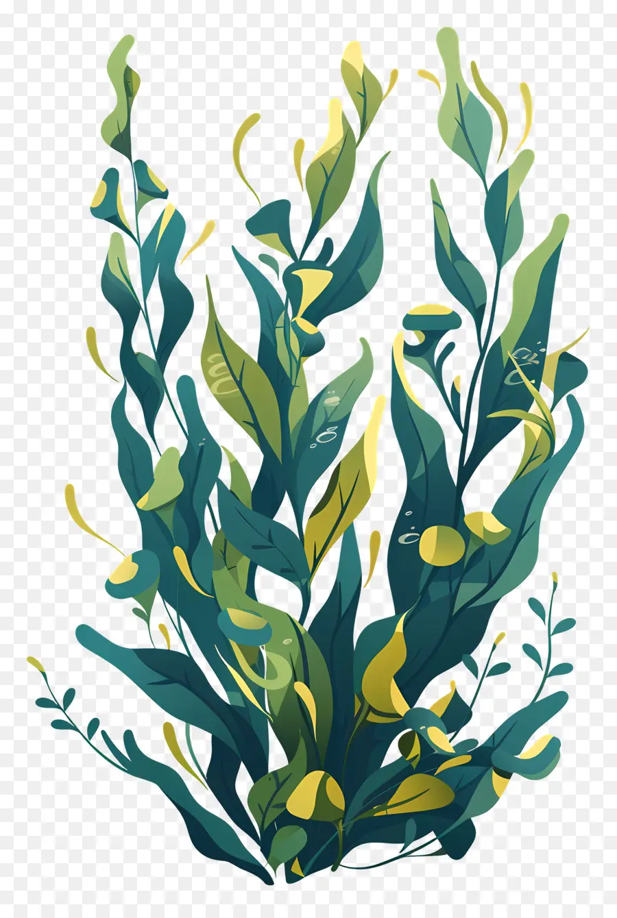 عشب البحر，النباتات المائية PNG