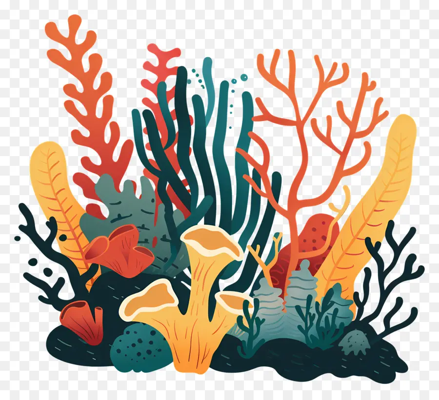 الشعاب المرجانية，النباتات المائية PNG