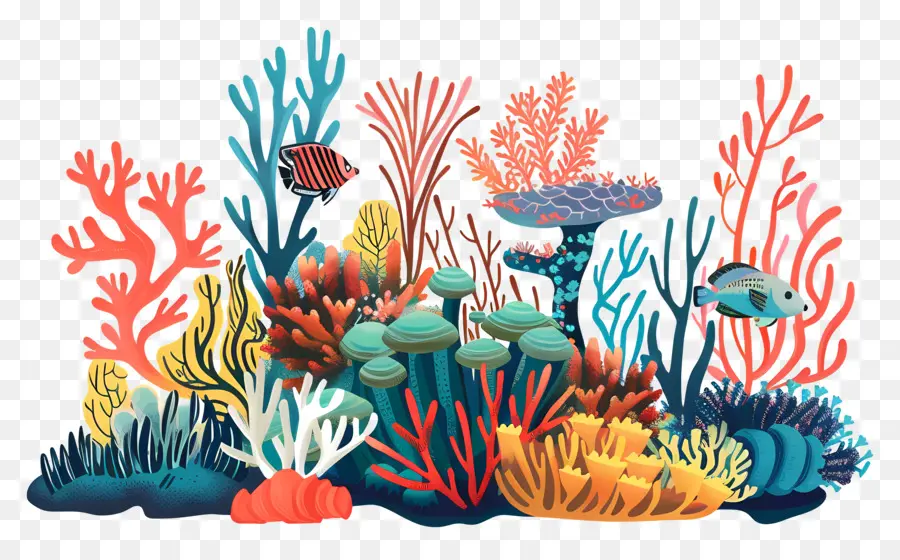 الشعاب المرجانية，الحياة البحرية PNG