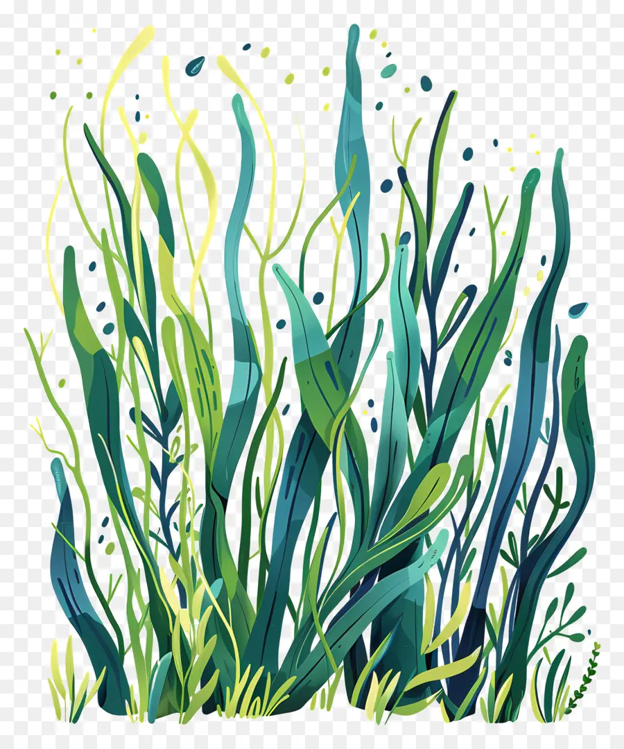 الأعشاب البحرية，تحت الماء PNG