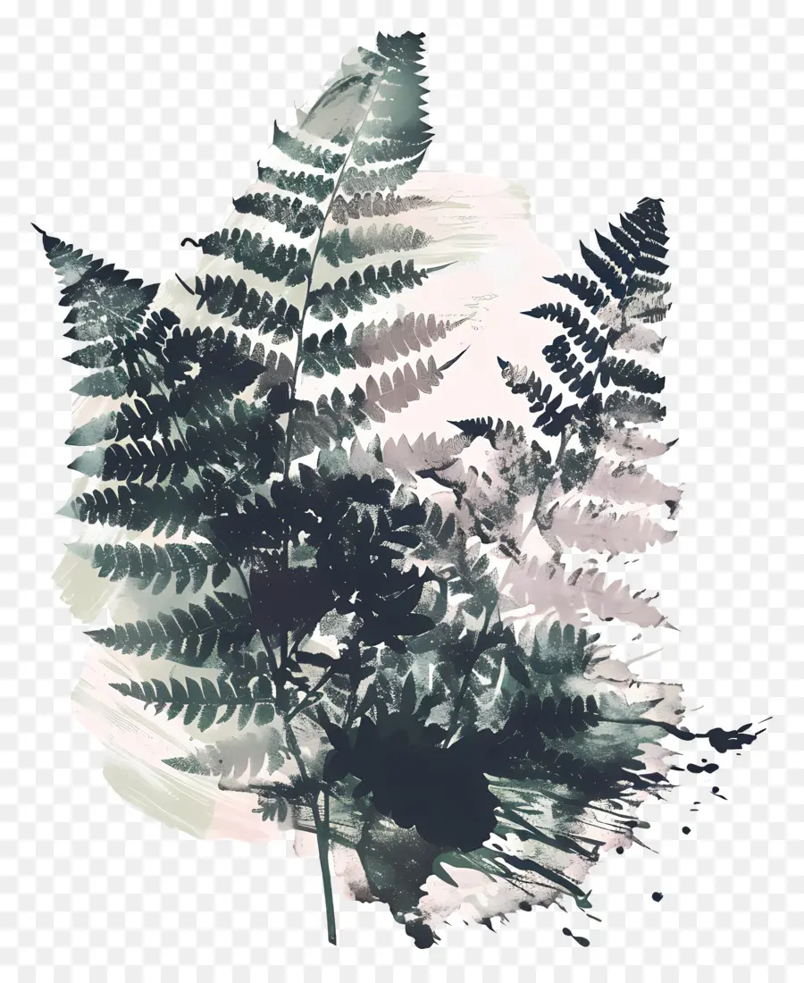 السرخس，نبات السرخس PNG
