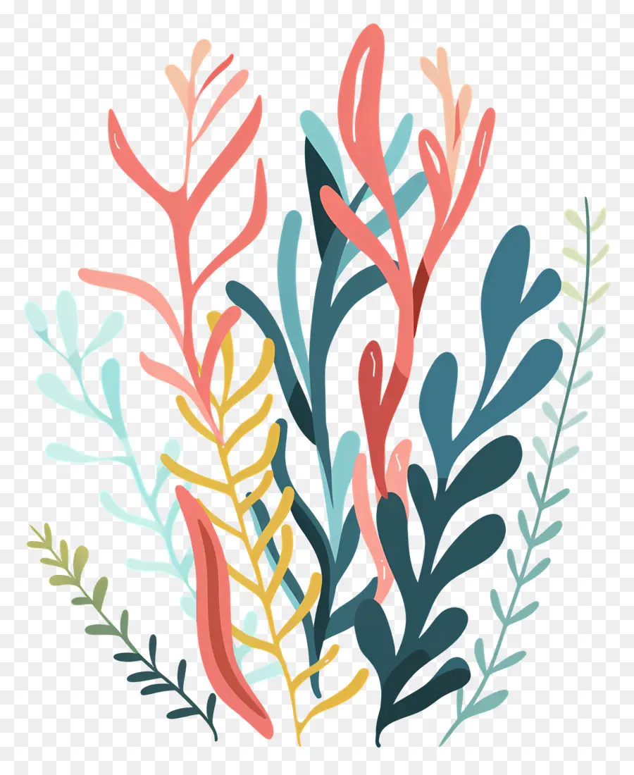 الأعشاب البحرية，الملونة PNG