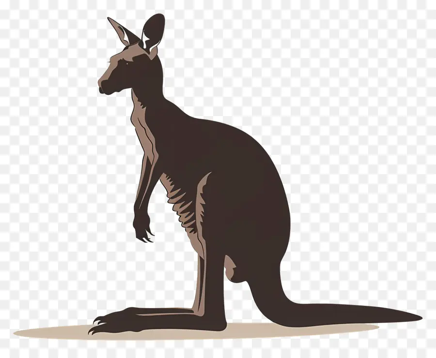 الكنغر，الحياة البرية الأسترالية PNG