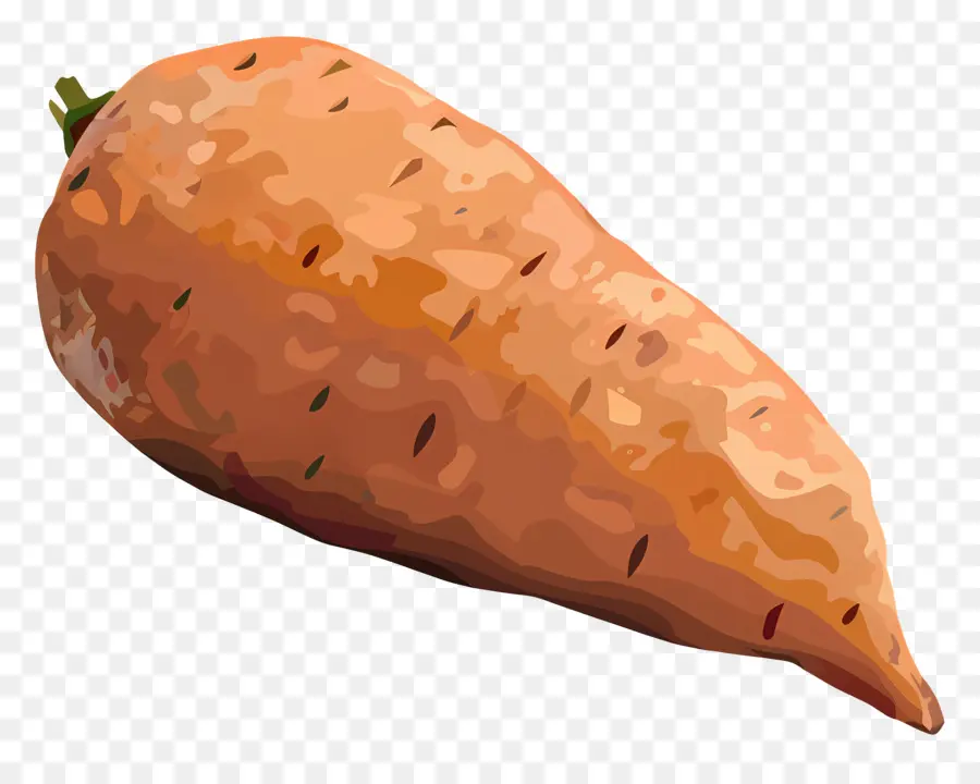 البطاطا الحلوة，الجزرة الطازجة PNG