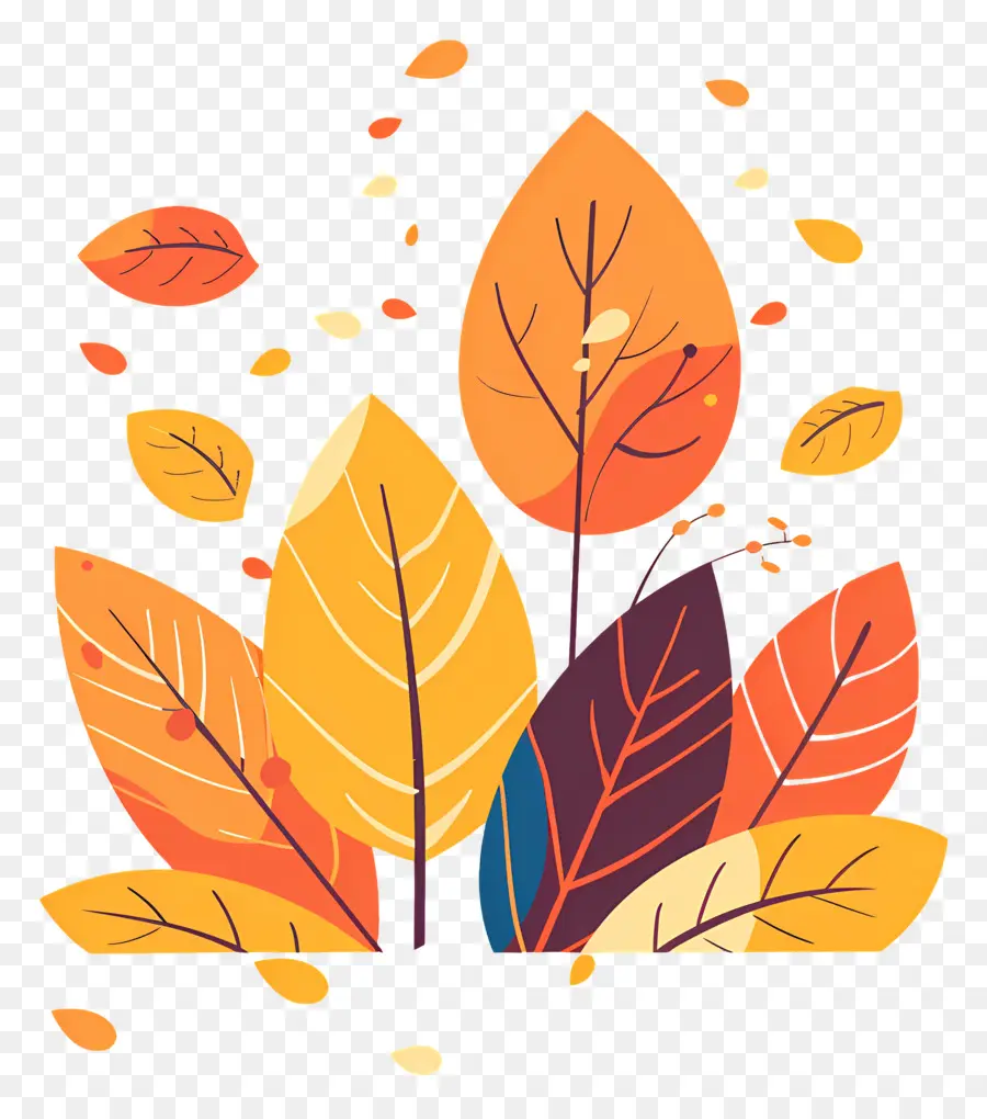 أوراق الخريف，أوراق الشجر الملونة PNG