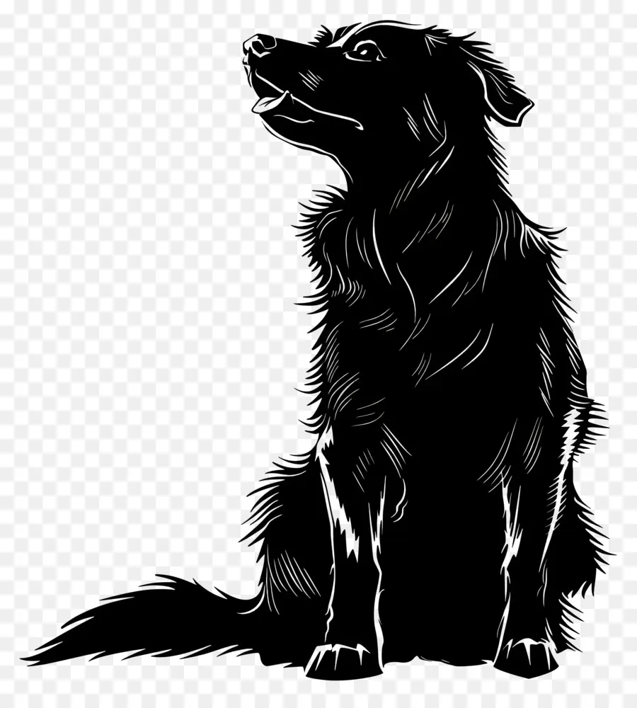 الكلب خيال，الأسود و الأبيض PNG