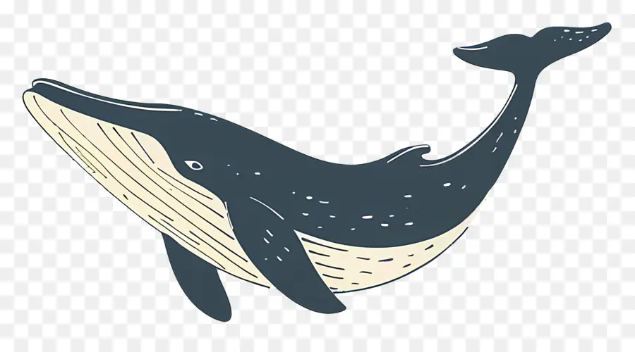 الحوت الأزرق，المحيط PNG