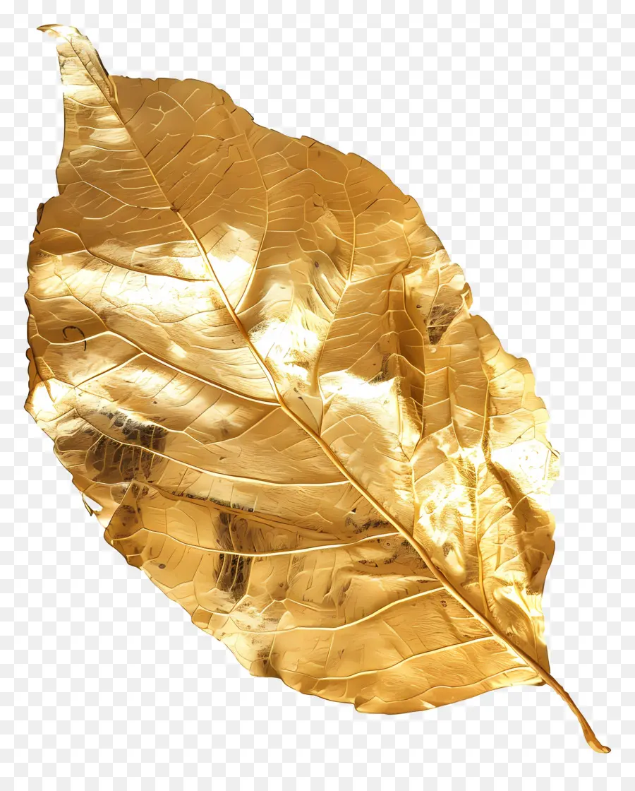 أوراق الذهب，شكل ريشة PNG